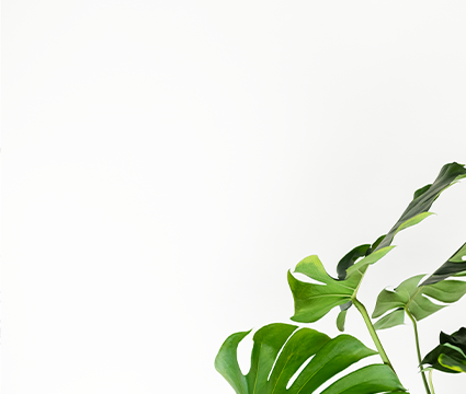 Архитектура депиляции в искусстве барбера