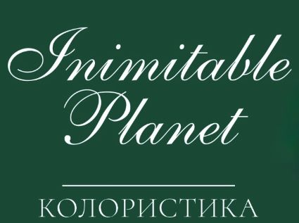 Погружение в мир масляных красителей